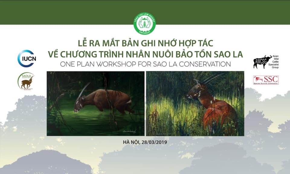 Plan ratowania saola. 28.03.2019 Hanoi, Wietnam