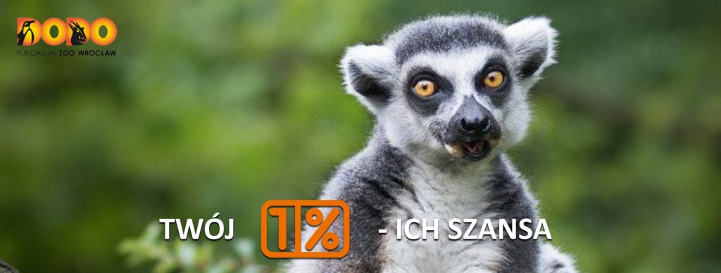 Podaruj 1% swojego podatku na ochronę laotańskiego lemurów katta!