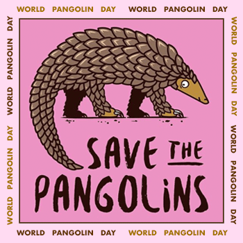 Save the Pangolin - World Pangolin Day gif. source: www.barrym.com
