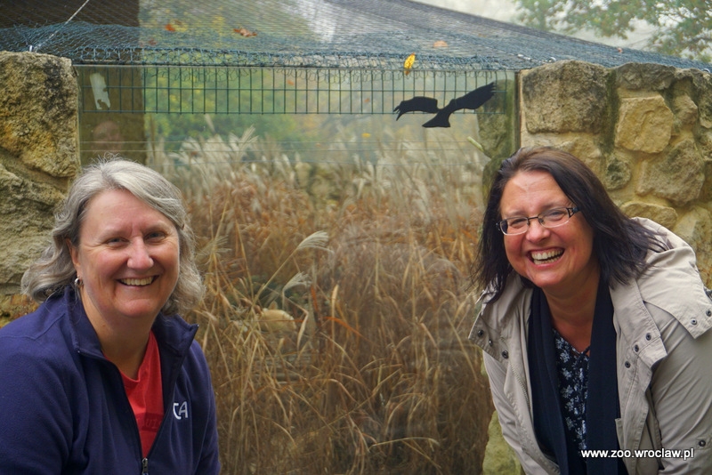 Koordynatorka hodowli fenków w Europie Anna Mękarska i Karen Bauman, koordynatorka hodowli fenków w Stanach Zjednoczonych przy wybiego fenków w Zoo Wrocław