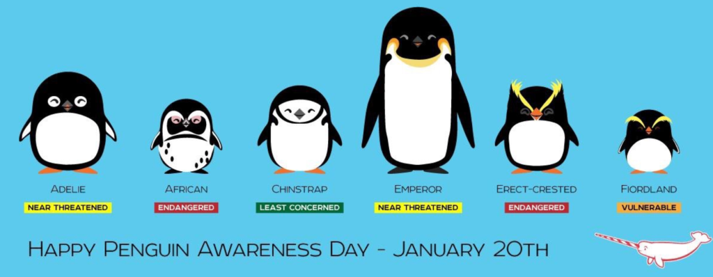 Dzień świadomości o pingwinach