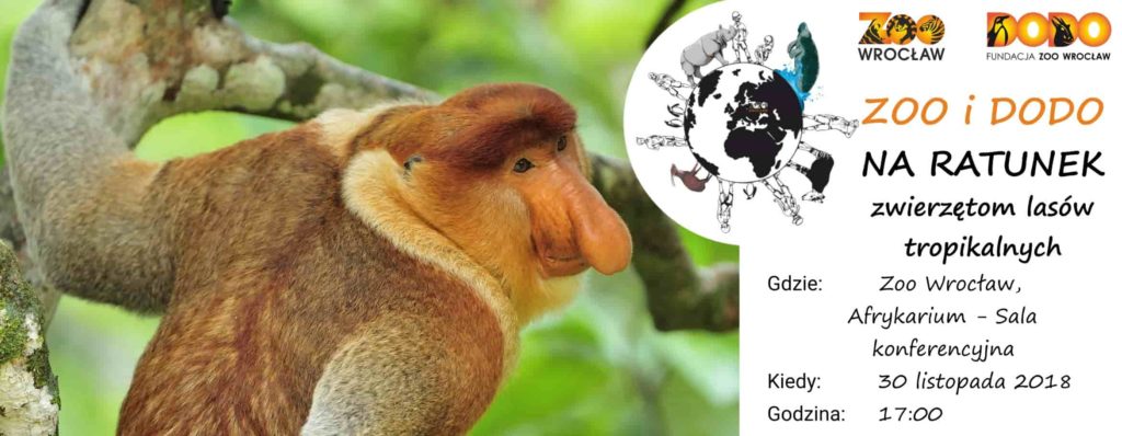Zoo i Dodo na ratunek – uwaga na olej palmowy!
