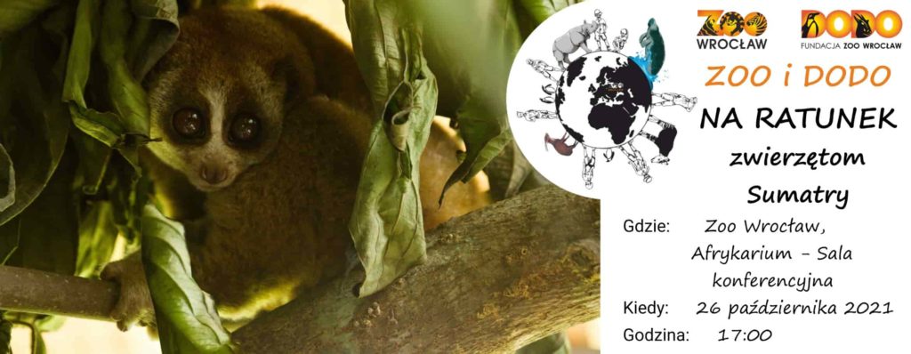 Zoo i Dodo na ratunek zwierzętom Sumatry