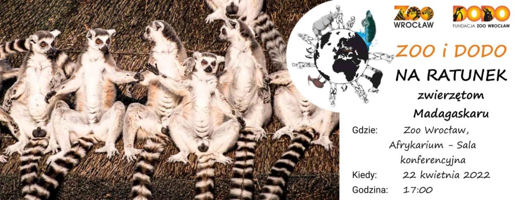 Zoo i Dodo na ratunek zwierzętom Madagaskaru 2022