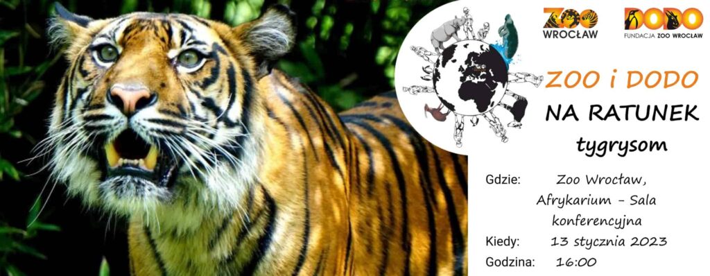 Zoo i Dodo na ratunek tygrysom
