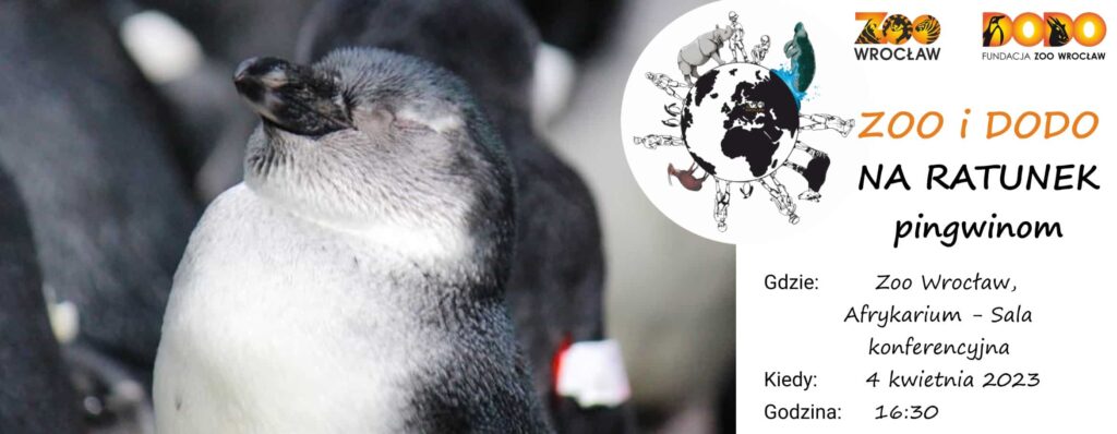 Zoo i Dodo na ratunek pingwinom