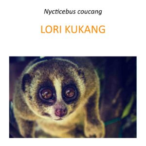 Program ratowania lori kukang