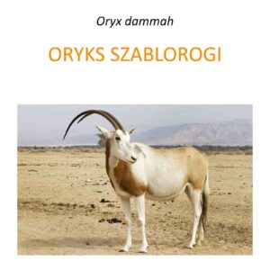 Program ochrony oryksa szablorogiego