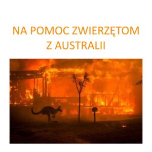 Na pomoc zwierzętom z pożarów w Australii
