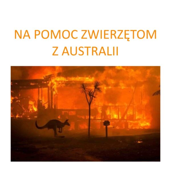 Na pomoc zwierzętom z pożarów w Australii