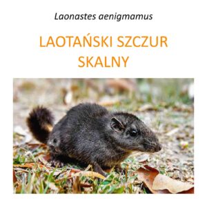 Program badań i ochrony laotańskiego szczura skalnego