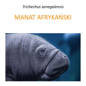 Program ochrony manatów afrykańskich