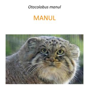 Program ochrony manuli