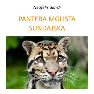 Program ochrony pantery mglistej na Borneo